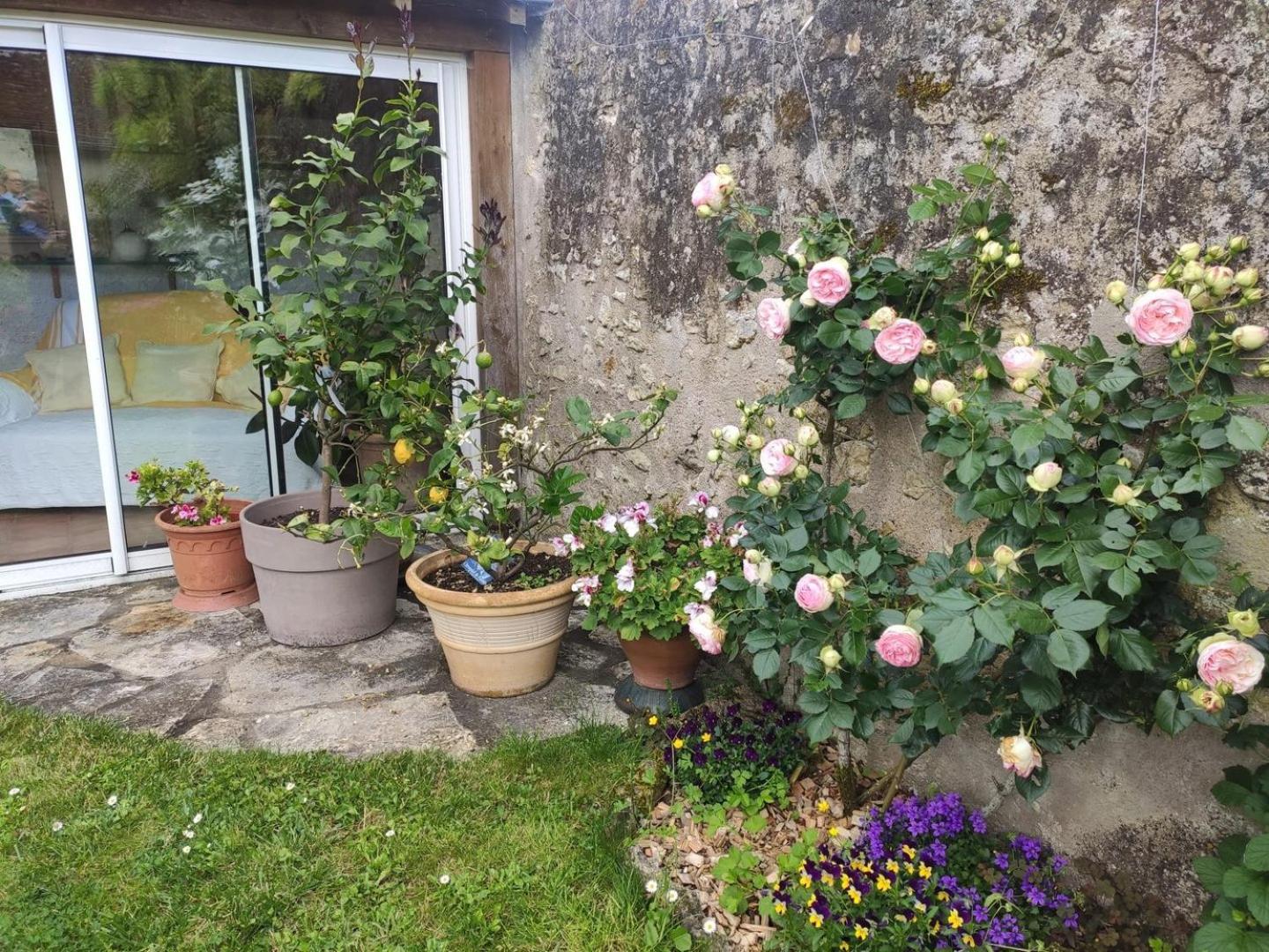 Le Relais De L'Ormeau - Charmant Gite Pour 4 Pers. Lussault-sur-Loire المظهر الخارجي الصورة
